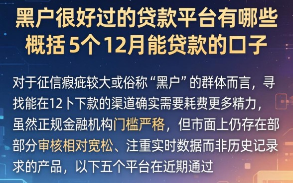 黑户很好过的贷款平台有哪些，概括5个12月能贷款的口子