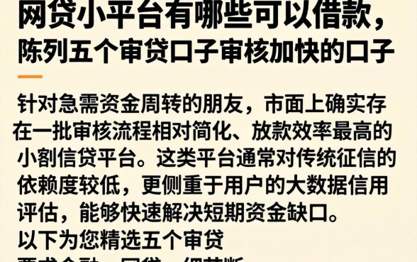网贷小平台有哪些可以借款，陈列五个审贷口子审核加快的口子
