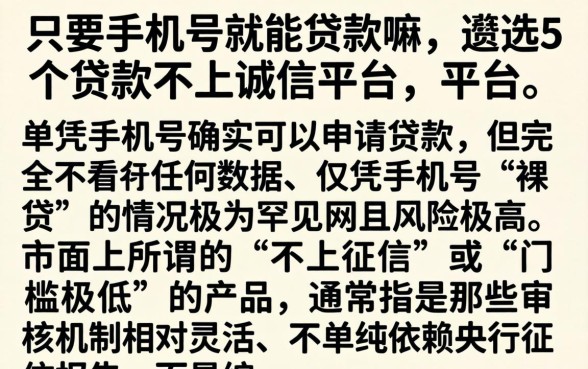 只要手机号就能贷款嘛，遴选5个贷款不上诚信平台的平台