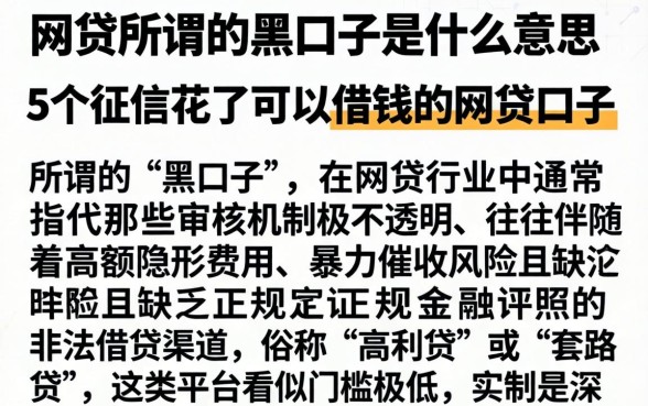 网贷所谓的黑口子是什么意思,详尽说明5个征信花了可以借钱的网贷口子