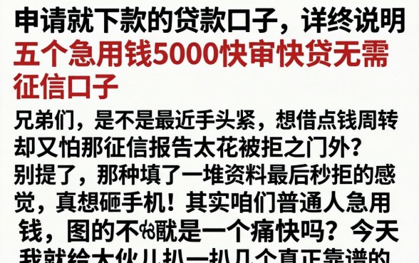 申请就下款的贷款口子，详尽说明五个急用钱5000快审快贷无需征信口子