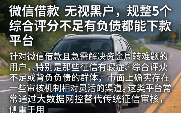 微信借款 无视黑户，规整5个综合评分不足有负债都能下款平台
