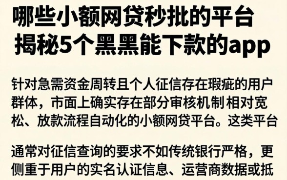 哪些小额网贷秒批的平台，揭秘5个黑户能下款的app