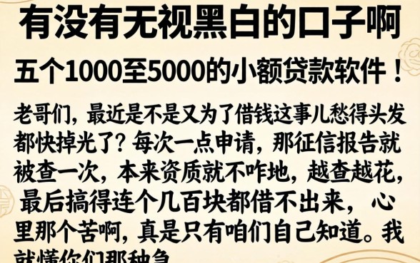 有没有无视黑白的口子啊，细致阐述五个1000至5000的小额贷款软件