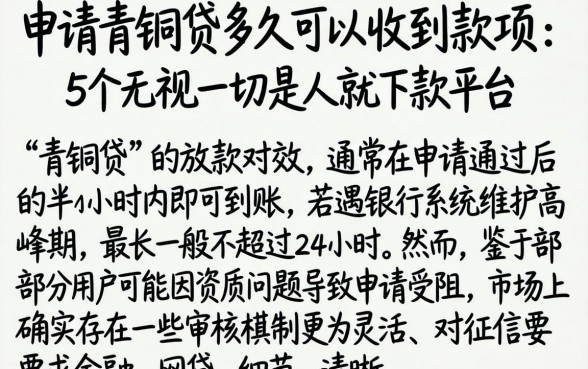 申请青铜贷多久可以收到款项，详尽说明5个无视一切是人就下款平台
