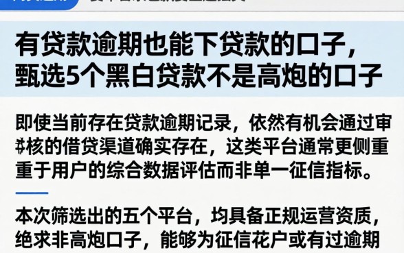 有贷款逾期也能下贷款的口子,甄选5个黑白贷款不是高炮的口子