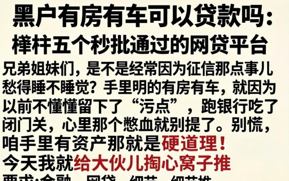 黑户有房有车可以贷款吗，枚举五个秒批通过的网贷平台
