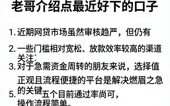 老哥介绍点最近好下的口子,条列5个无视黑白户秒过的网贷