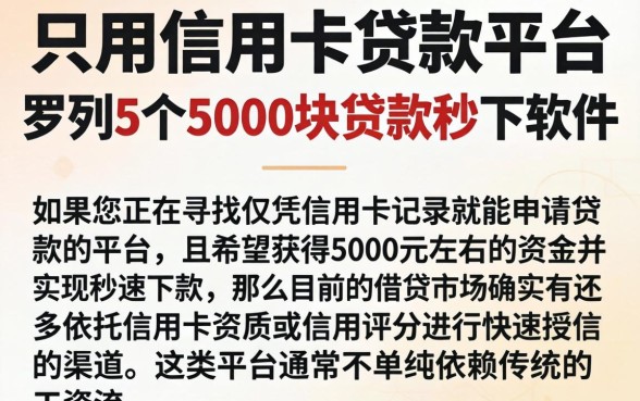 只用信用卡贷款的平台，罗列5个5000块贷款秒下软件