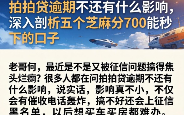 拍拍贷逾期不还有什么影响，深入剖析五个芝麻分700能秒下的口子