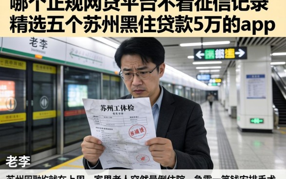 哪个正规网贷平台不看征信记录，精选五个苏州黑户贷款5万的app