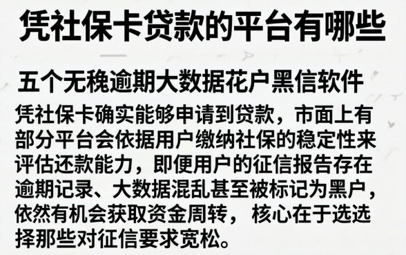 凭社保卡贷款的平台有哪些，详尽说明五个无视逾期大数据花户黑户软件