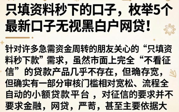 只填资料秒下的口子，枚举5个最新口子无视黑白户网贷