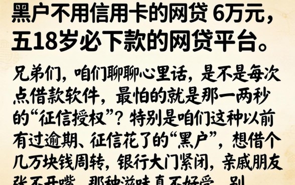 黑户不用信用卡的网贷 6万元，概括五个18岁必下款的网贷平台