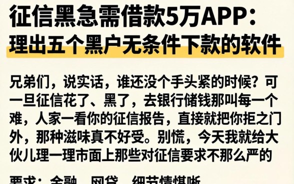 征信黑急需借款5万APP,理出五个黑户无条件下款的软件