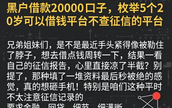 黑户借款20000的口子，枚举5个20岁可以借钱平台不查征信的平台