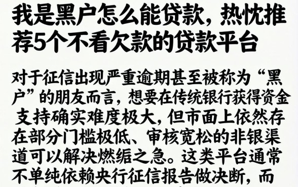 我是黑户怎么能贷款，热忱推荐5个不看欠款的贷款平台