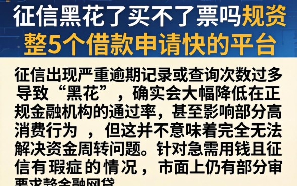 征信黑花了买不了票吗,规整5个借款申请快的平台