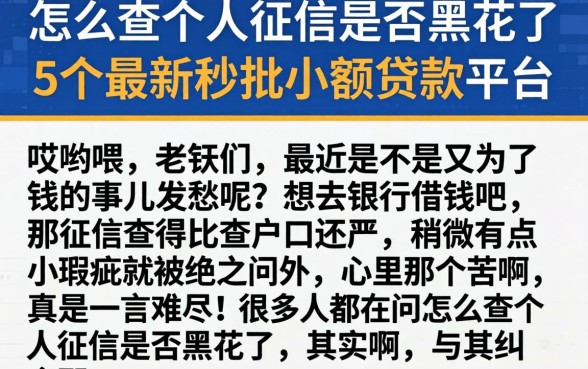 怎么查个人征信是否黑花了,详尽说明5个最新秒批小额贷款平台