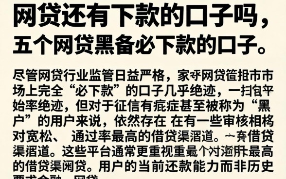 网贷还有下款的口子吗，细致阐述五个网贷黑户必下款的口子