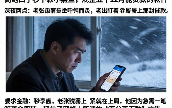 高炮口子秒下款小黑鱼,规整五个12月能贷款的软件