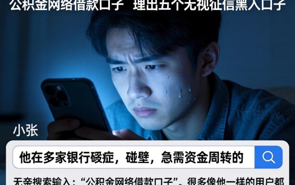 公积金网络借款口子，理出五个无视征信黑户口子