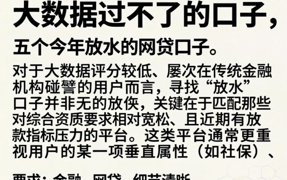 大数据过不了的口子,详细阐述五个今年放水的网贷口子