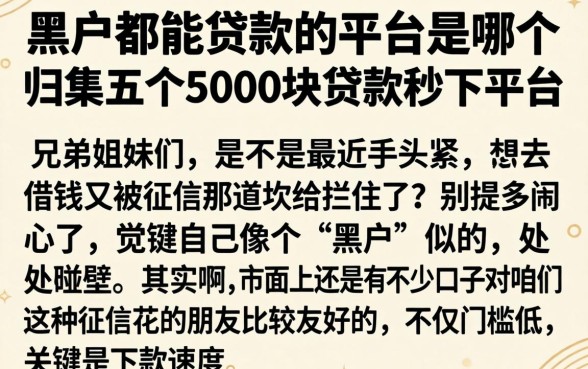 黑户都能贷款的平台是哪个，归集五个5000块贷款秒下平台