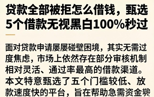 贷款全部被拒怎么借钱，甄选5个借款无视黑白100%秒过