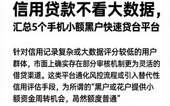 信用贷款不看大数据,汇总5个手机小额黑户快速贷款平台