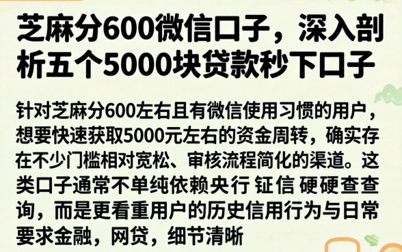 芝麻分600微信口子，深入剖析五个5000块贷款秒下口子