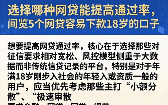 选择哪种网贷能提高通过率，概览5个网贷容易下款18岁的口子