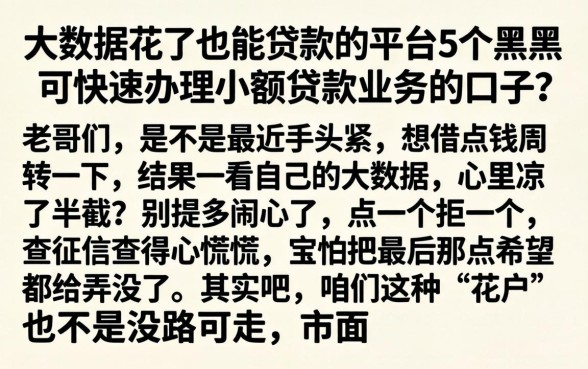 大数据花了也能贷款的平台,概括5个黑户可快速办理小额贷款业务的口子
