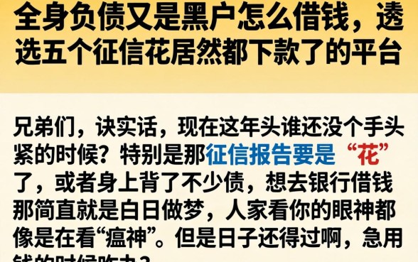 全身负债又是黑户怎么借钱,遴选五个征信花居然都下款了的平台
