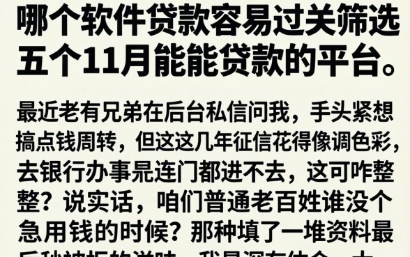 哪个软件贷款容易过关，筛选五个11月能贷款的平台