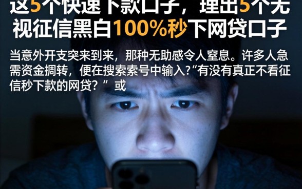 这5个快速下款的口子,理出5个无视征信黑白100%秒下网贷口子