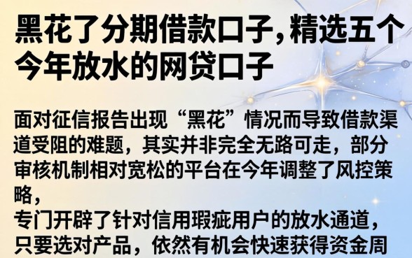 黑花了分期借款口子,精选五个今年放水的网贷口子