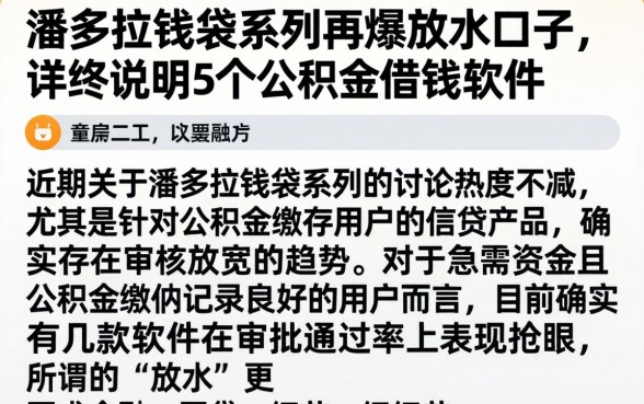 潘多拉钱袋系列再爆放水口子，详尽说明5个公积金借钱软件