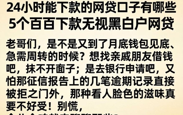 24小时能下款的网贷口子有哪些，概括5个百分百下款无视黑白户网贷