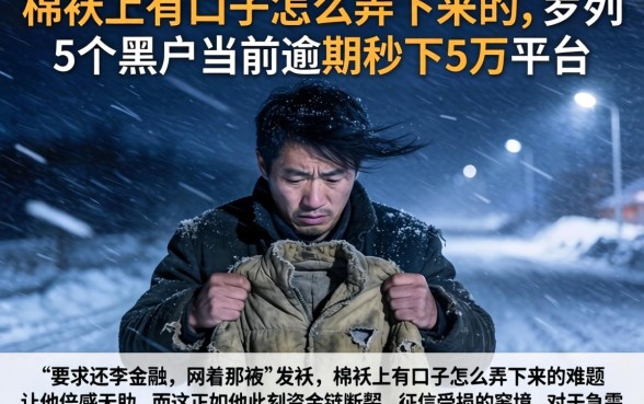 棉袄上有口子怎么弄下来的，罗列5个黑户当前逾期秒下5万平台