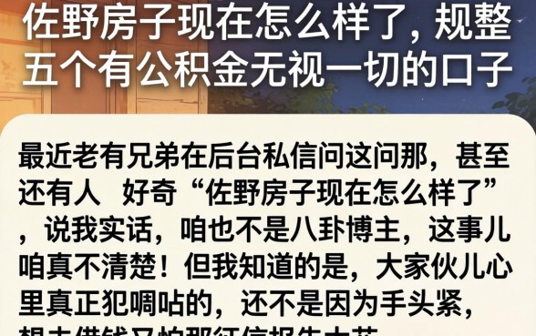 佐野房子现在怎么样了，规整五个有公积金无视一切的口子