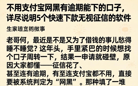 不用支付宝网黑有逾期能下的口子,详尽说明5个快速下款无视征信的软件