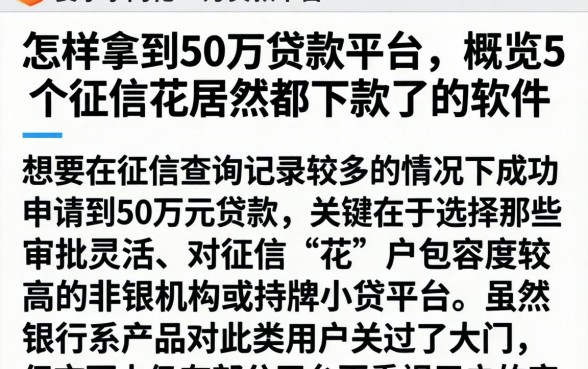 怎样拿到50万贷款平台,概览5个征信花居然都下款了的软件