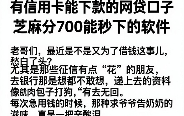有信用卡能下款的网贷口子,深入剖析五个芝麻分700能秒下的软件