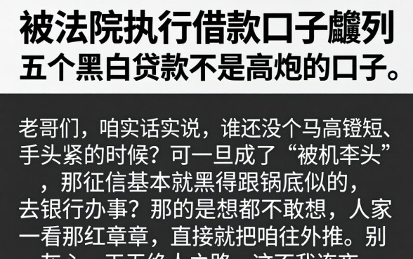 被法院执行的借款口子，胪列五个黑白贷款不是高炮的口子