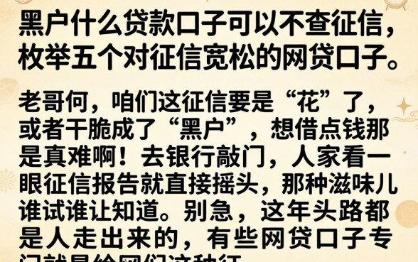黑户什么贷款口子可以不查征信，枚举五个对征信宽松的网贷口子