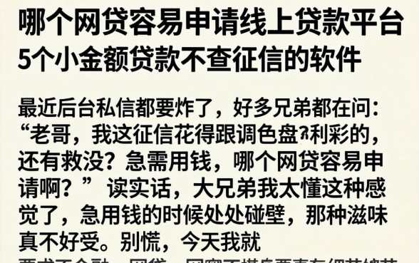 哪个网贷容易申请线上贷款平台，详尽说明5个小额贷款不查征信的软件