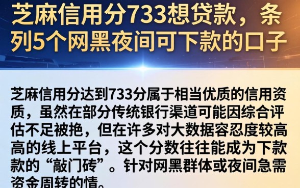 芝麻信用分733想贷款，条列5个网黑夜间可下款的口子