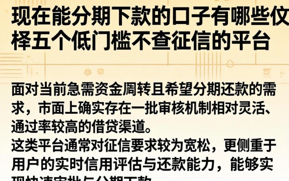 现在能分期下款的口子有哪些，枚举五个低门槛不查征信的平台