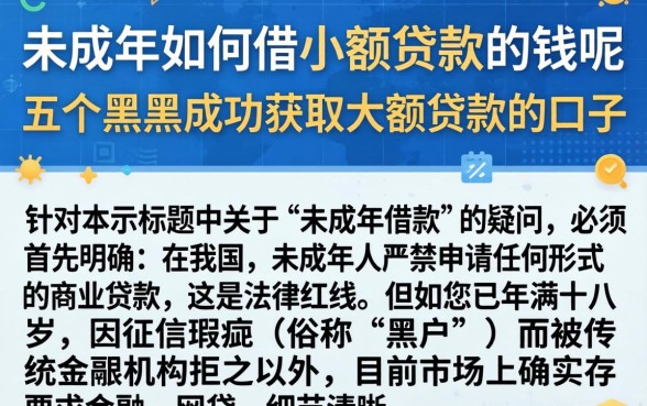 未成年如何借小额贷款的钱呢，概括五个黑户成功获取大额贷款的口子